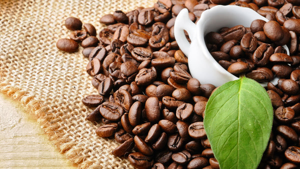 Bohnen / Röstkaffee löslich