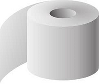 Wc Papier  9.8 X 11Cm 2-Lagig (250)