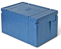 Isolierbox Tkp Epp Grau