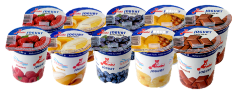 Fuchs Joghurt Assortiert